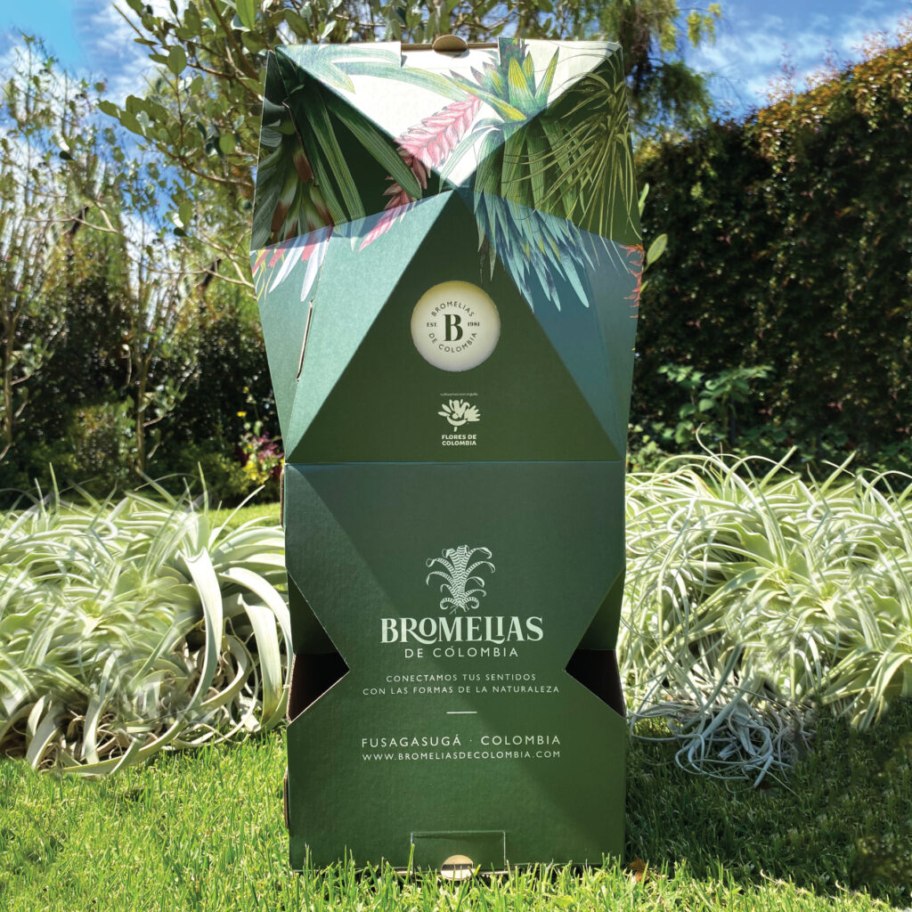 Packaging-Bromelias_Compo-Isolated_06
